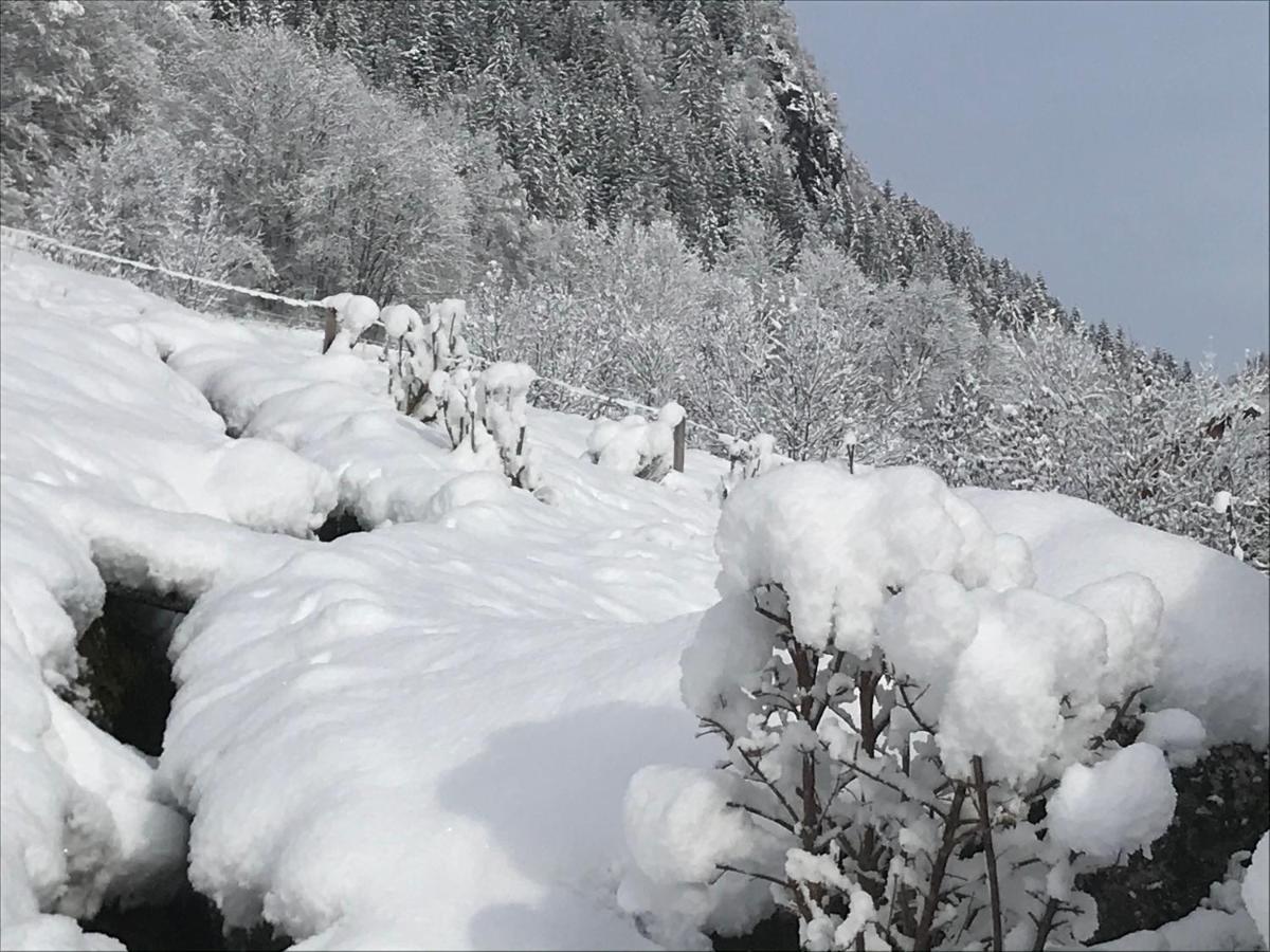 Le Blanc Nordique Villa Le Bouchet-Mont Charvin Екстериор снимка